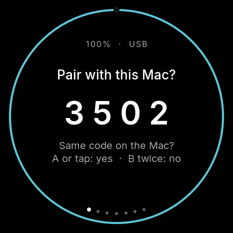 Sotto showing a 4-digit pairing code